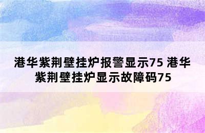 港华紫荆壁挂炉报警显示75 港华紫荆壁挂炉显示故障码75